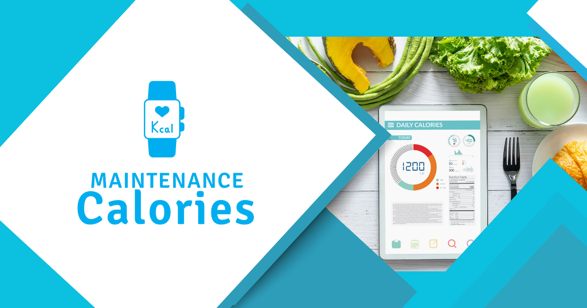 What Are Maintenance Calories?